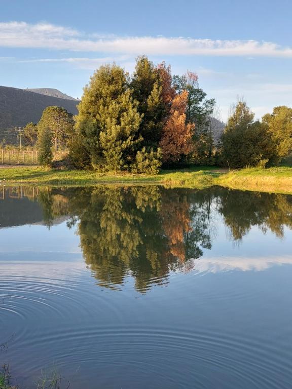 20 Good Summers Farm Stay