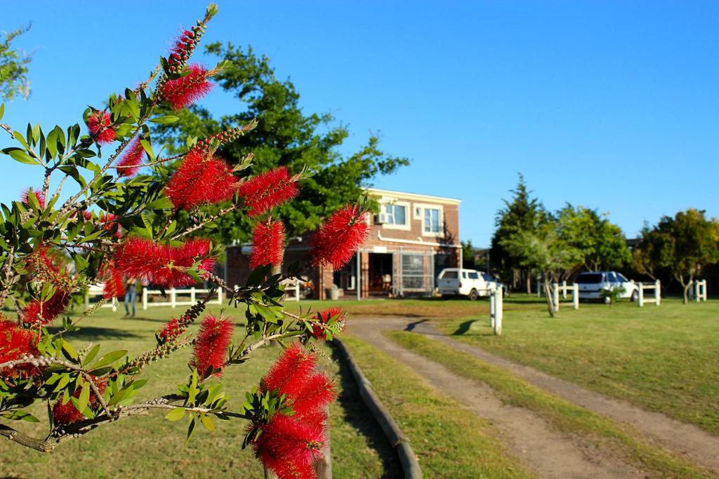 African Adventures Accommodation