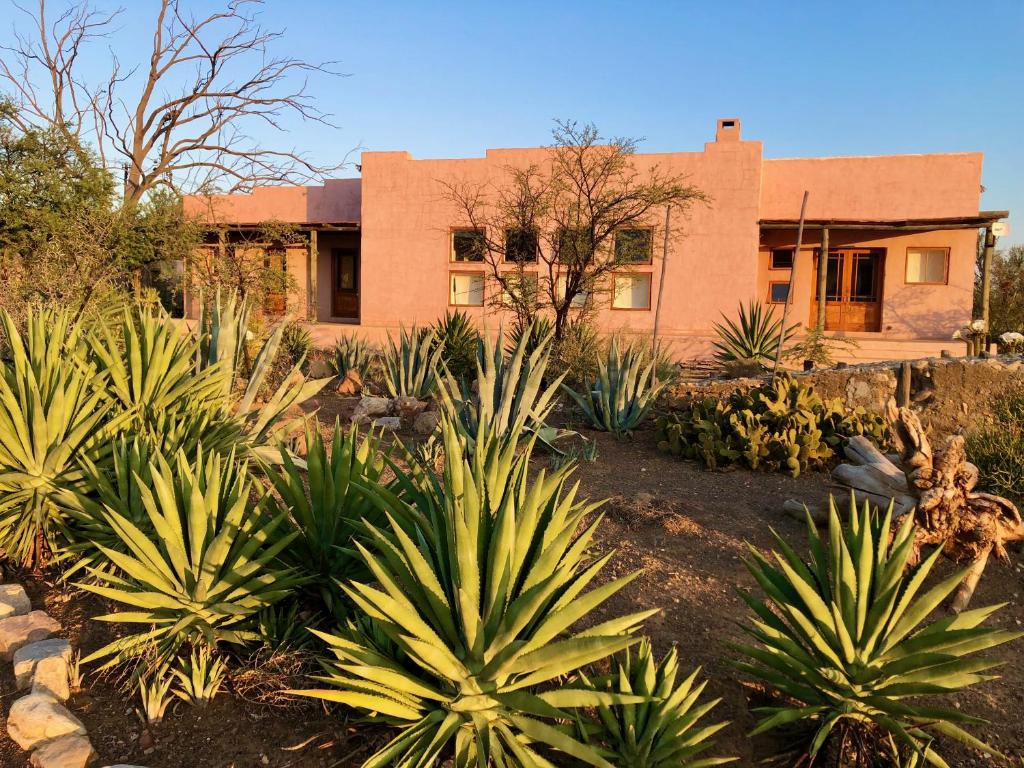 AGAVE HOUSE