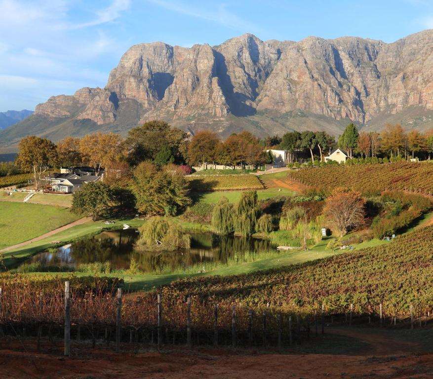 Alluvia Boutique Winery & Luxury Accommodation