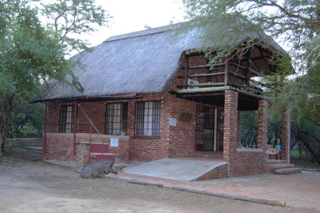 At Kruger's Heartbeat