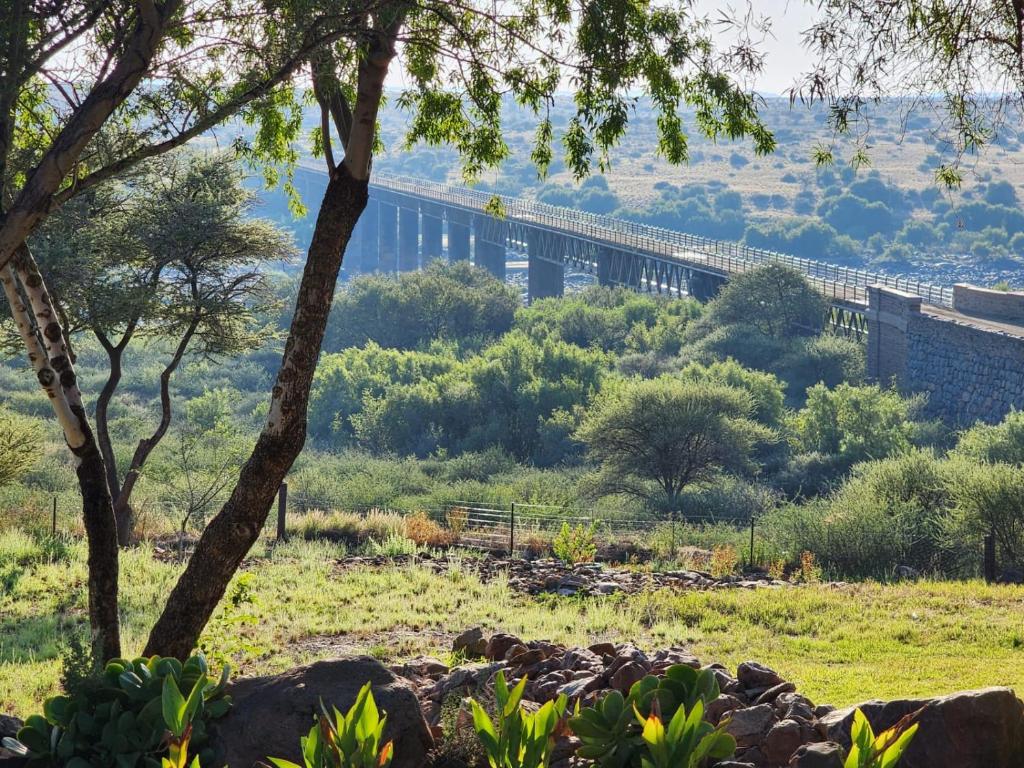 Bridge View
