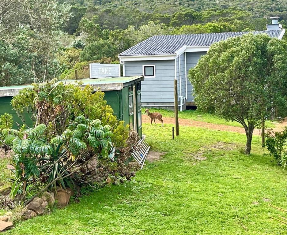 Bushbuck Farm Eco-Retreat