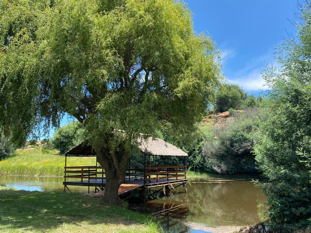 Echo Valley Guest Farm