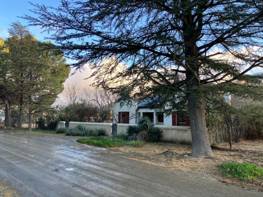 Daisy Cottage
