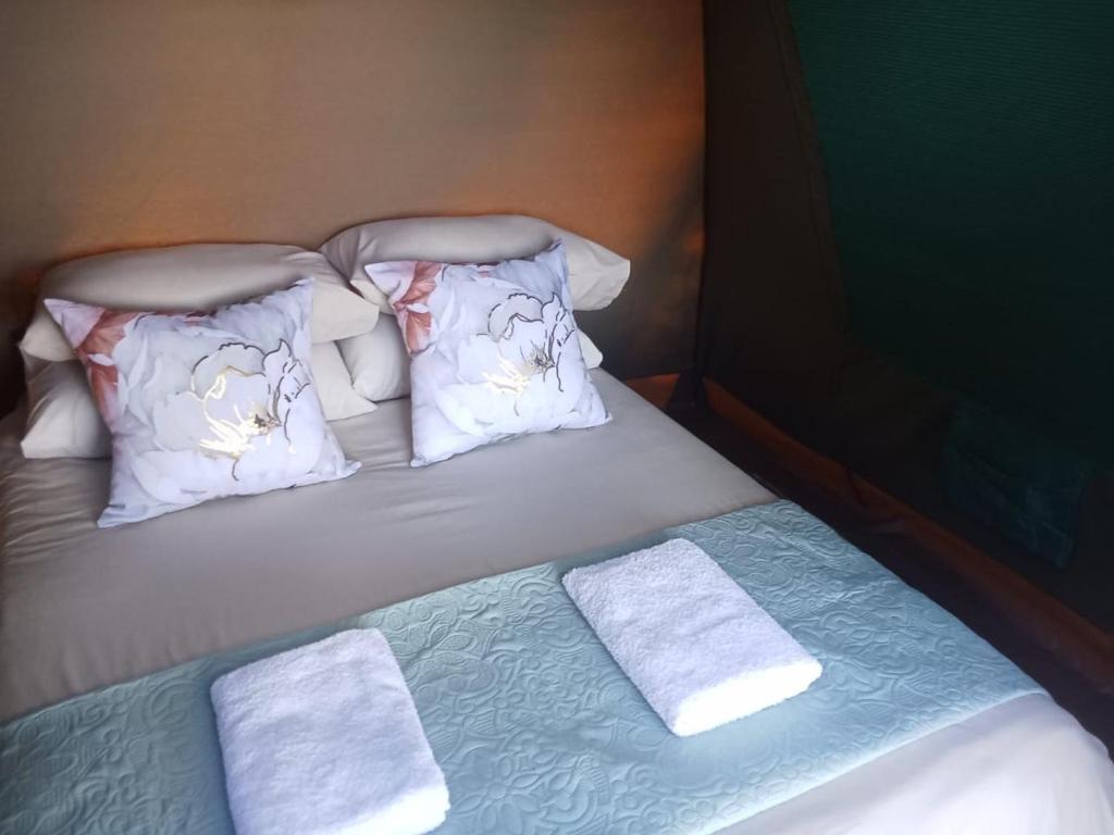Dome Tent
