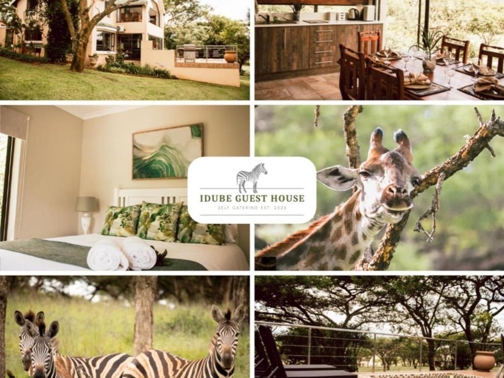 Idube Guest House