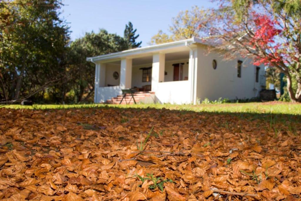 Khayalethu Cottage