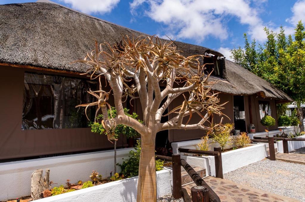 Kleinplasie Guesthouse