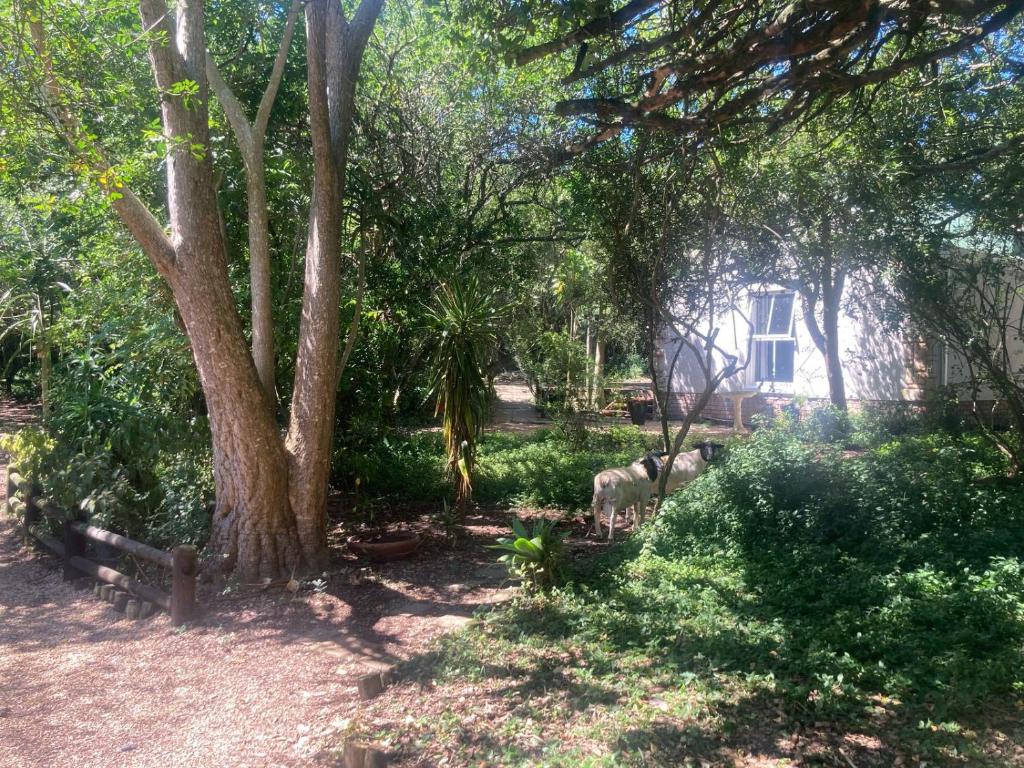 La Cabane Garden Cottage