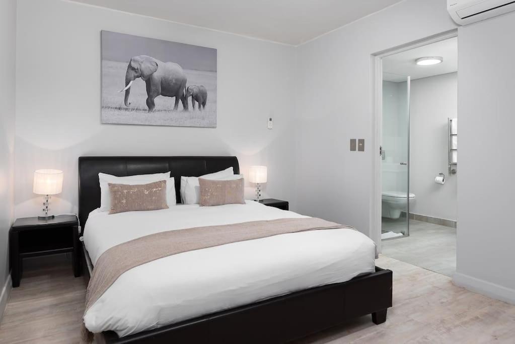Large and Spacious Apt in De Waterkant next to V&A