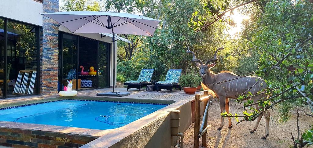 Loerie Escape - Marloth Park