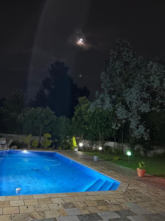 Lumini Gardens