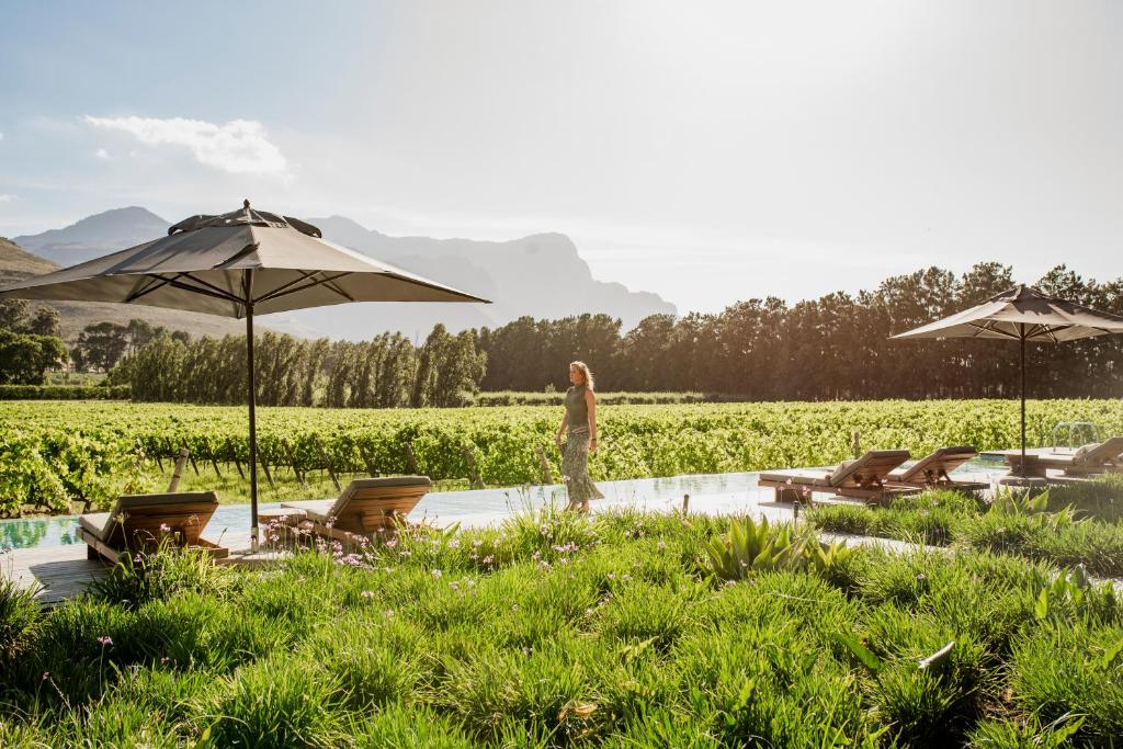 MAISON FRANSCHHOEK