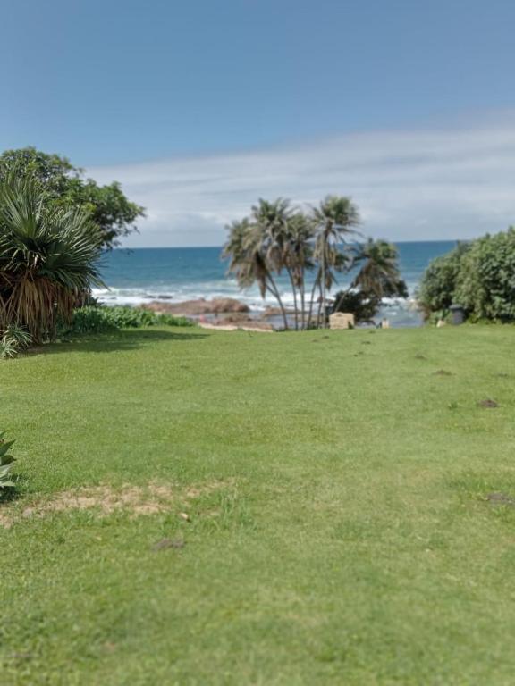 Palm beach