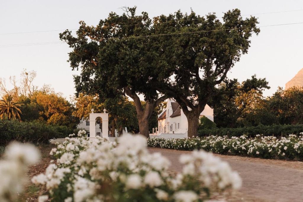Adara Palmiet Valley Luxurious Boutique Farm Hotel