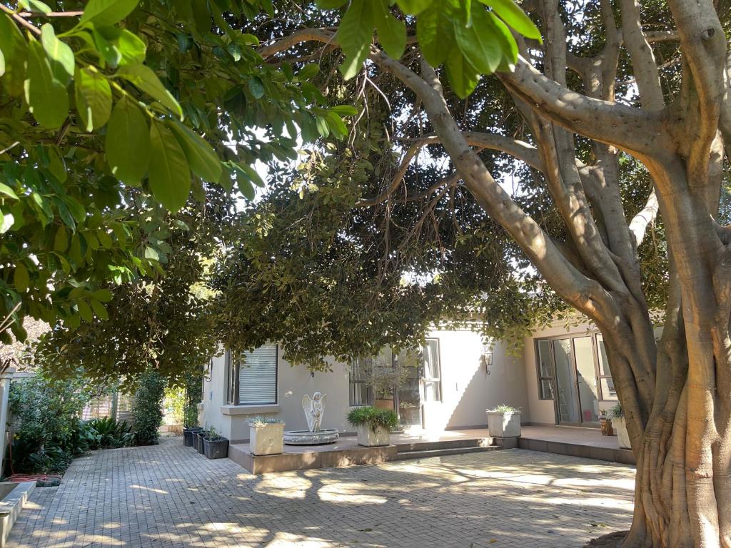 PepperTree Guest House