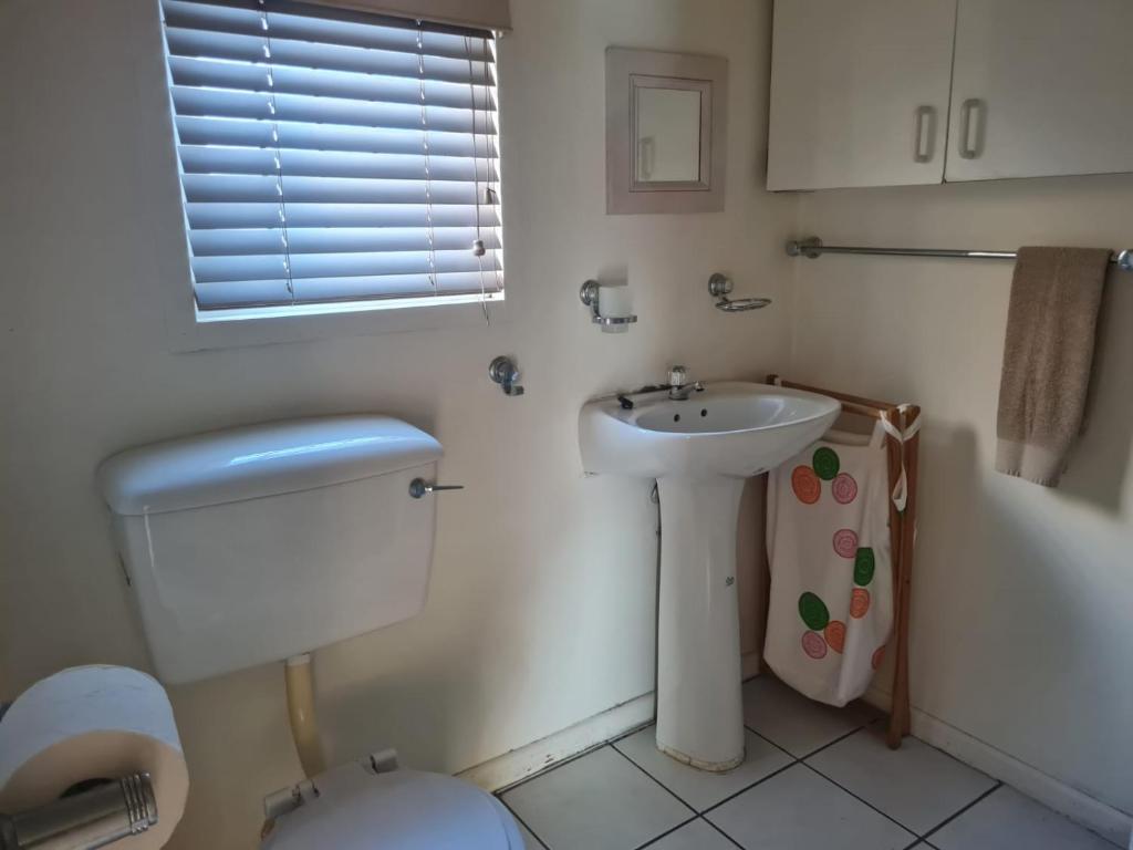 Point Village Accommodation - Dizzy Dazy