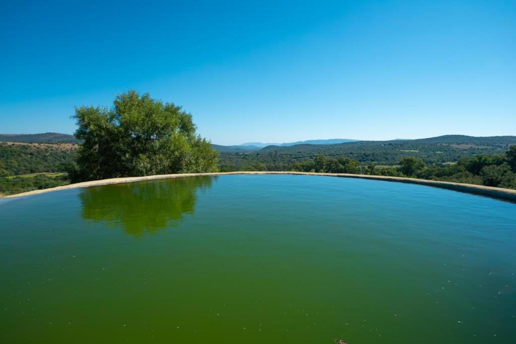 Kokopelli farm