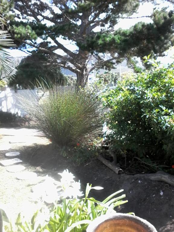 Self Catering Unit 6, Sandbaai