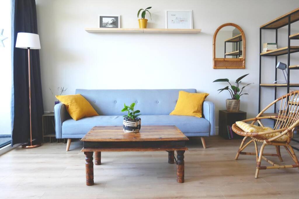 Stylish studio with swimming pool in the city bowl