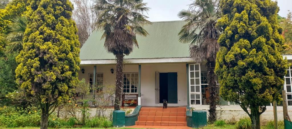 The Dutch House