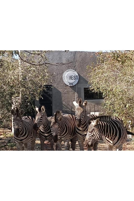 The Nest - Marloth Park