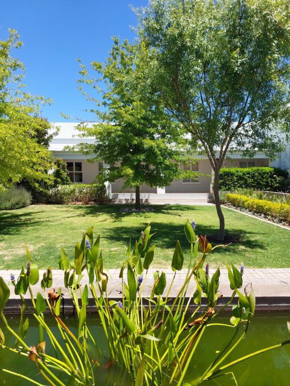 The White Bloom Villa