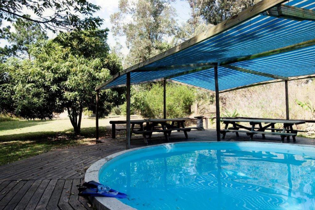 Triton Dive Lodge (Pty) Ltd