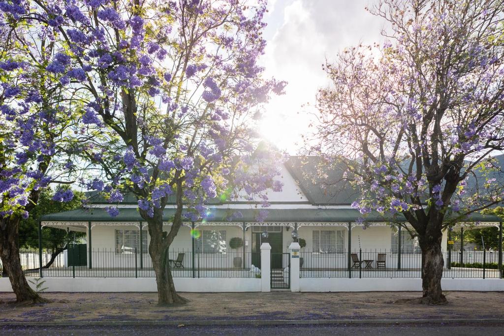 Victorian Square Guesthouse