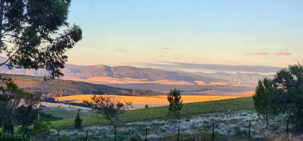 Vredevallei