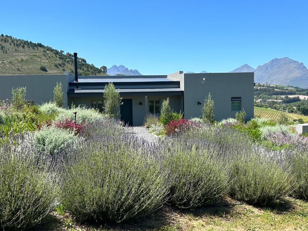 Windon vineyard farmhouse